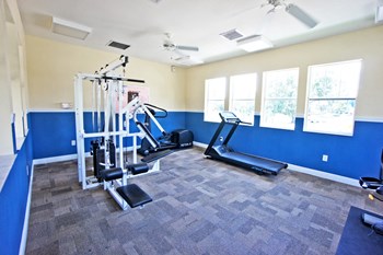 Community fitness center with blue walls and off-white walls, with exercise bike, treadmill, elliptical, and weight machines